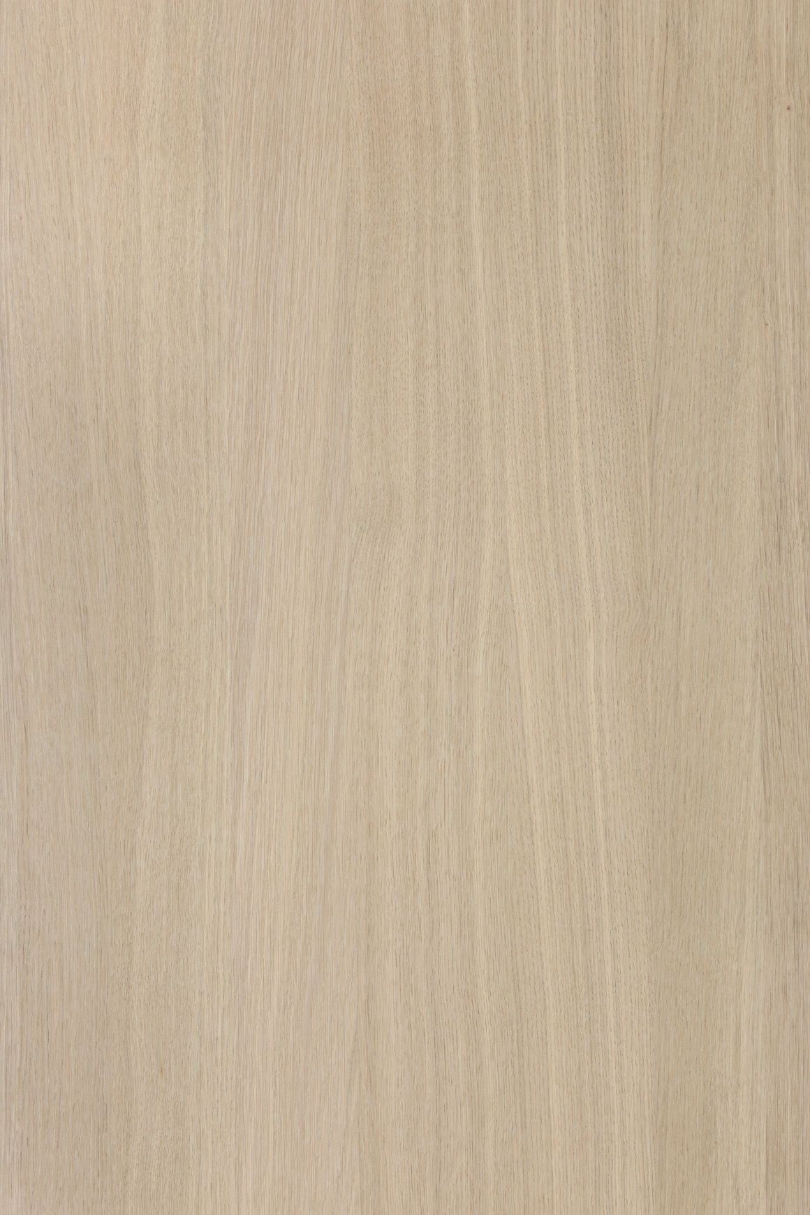 Alor Cove Veneer Panel