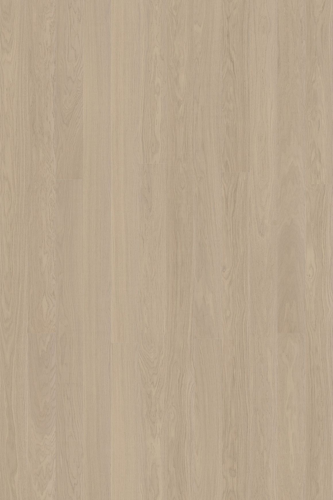 Alor Cove Oak Walls & Ceiling Panelling