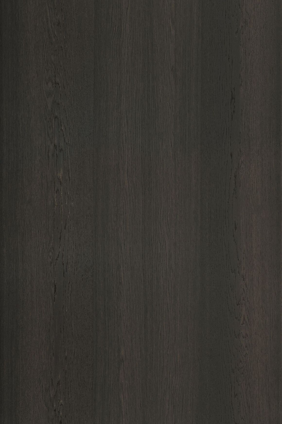 Alor Inca Oak 1F1B 3050mm Veneer Panel