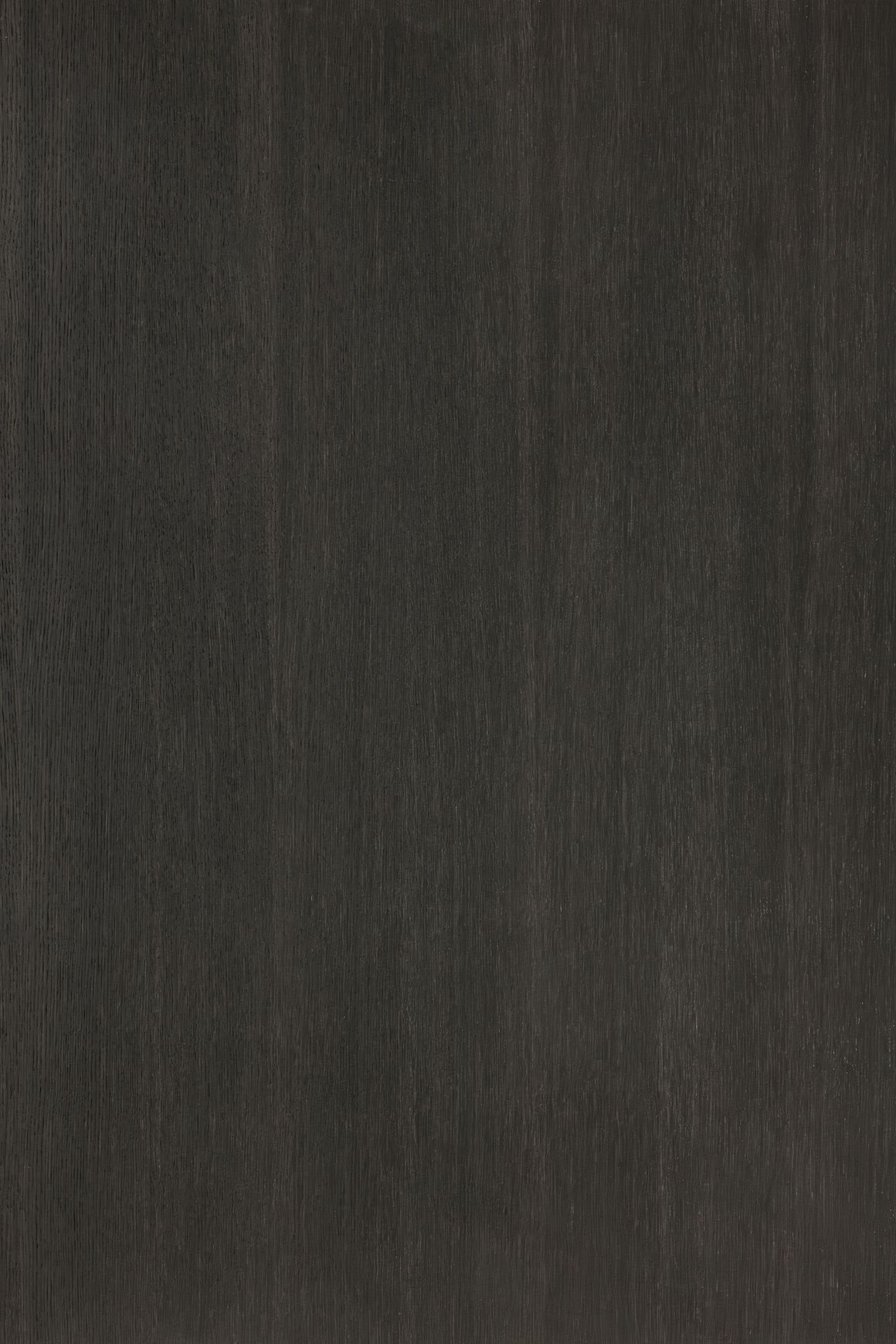 Alor Inca Oak 1F1B 3050mm Veneer Panel