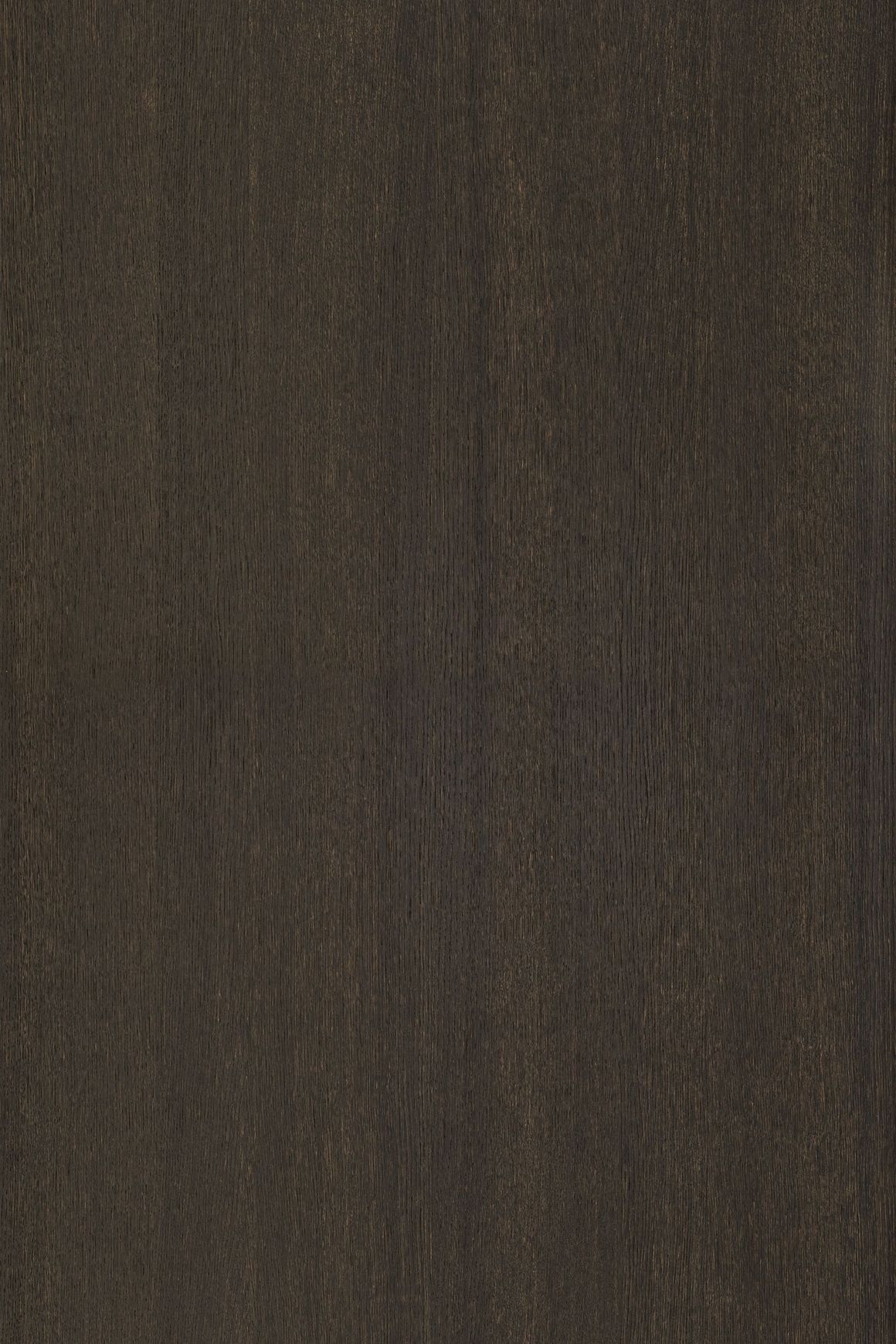 Alor Nox Oak 1F1B 3050mm Veneer Panel