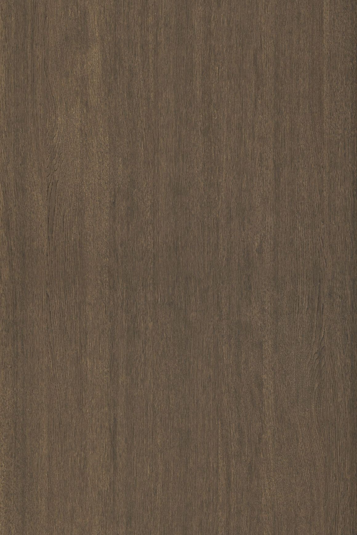 Alor Ochre Oak 1F1B 3050mm Veneer Panel