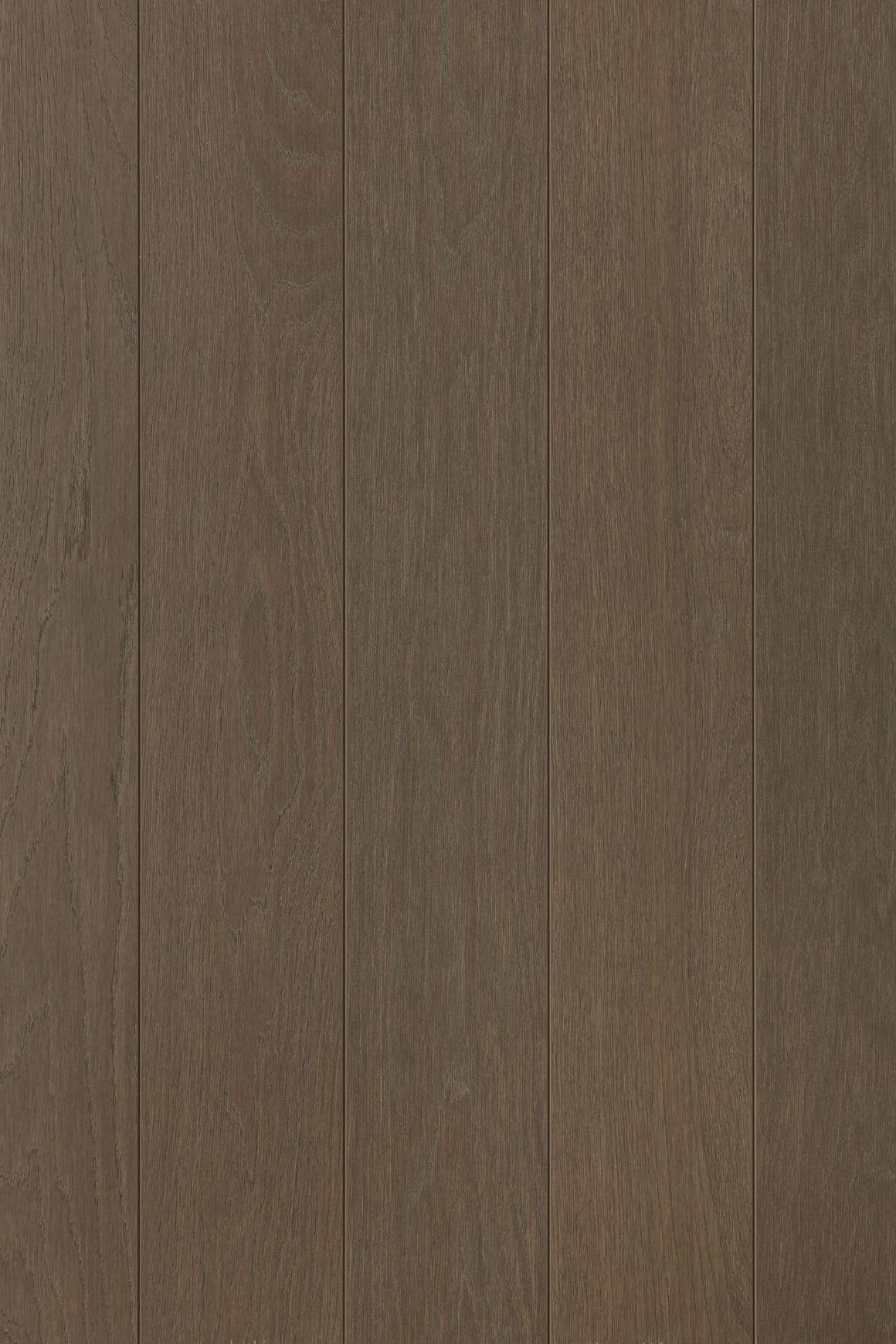 Alor Ochre Oak Walls & Ceiling Panelling