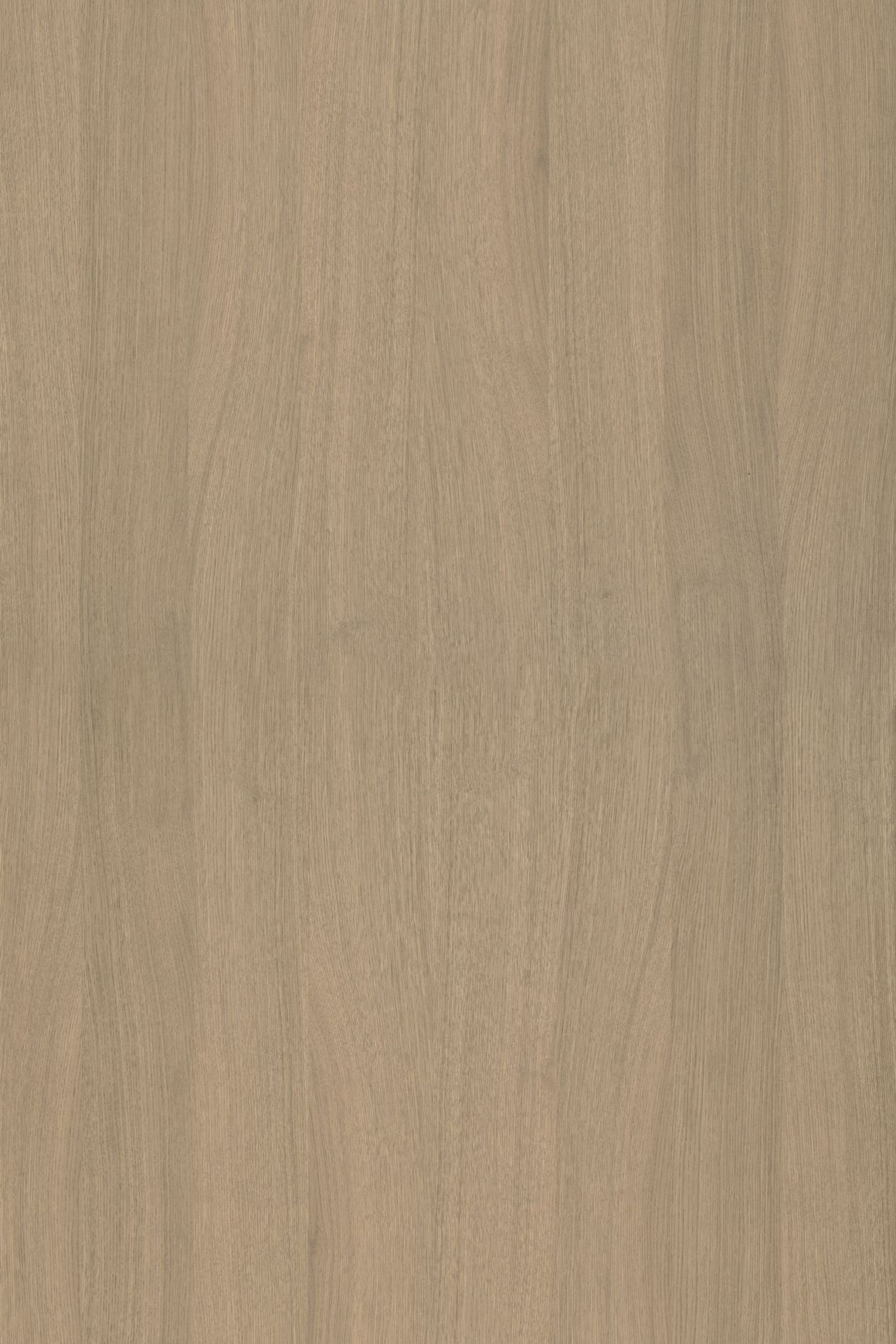 Alor Solis Oak 1F1B 2440mm Veneer Panel
