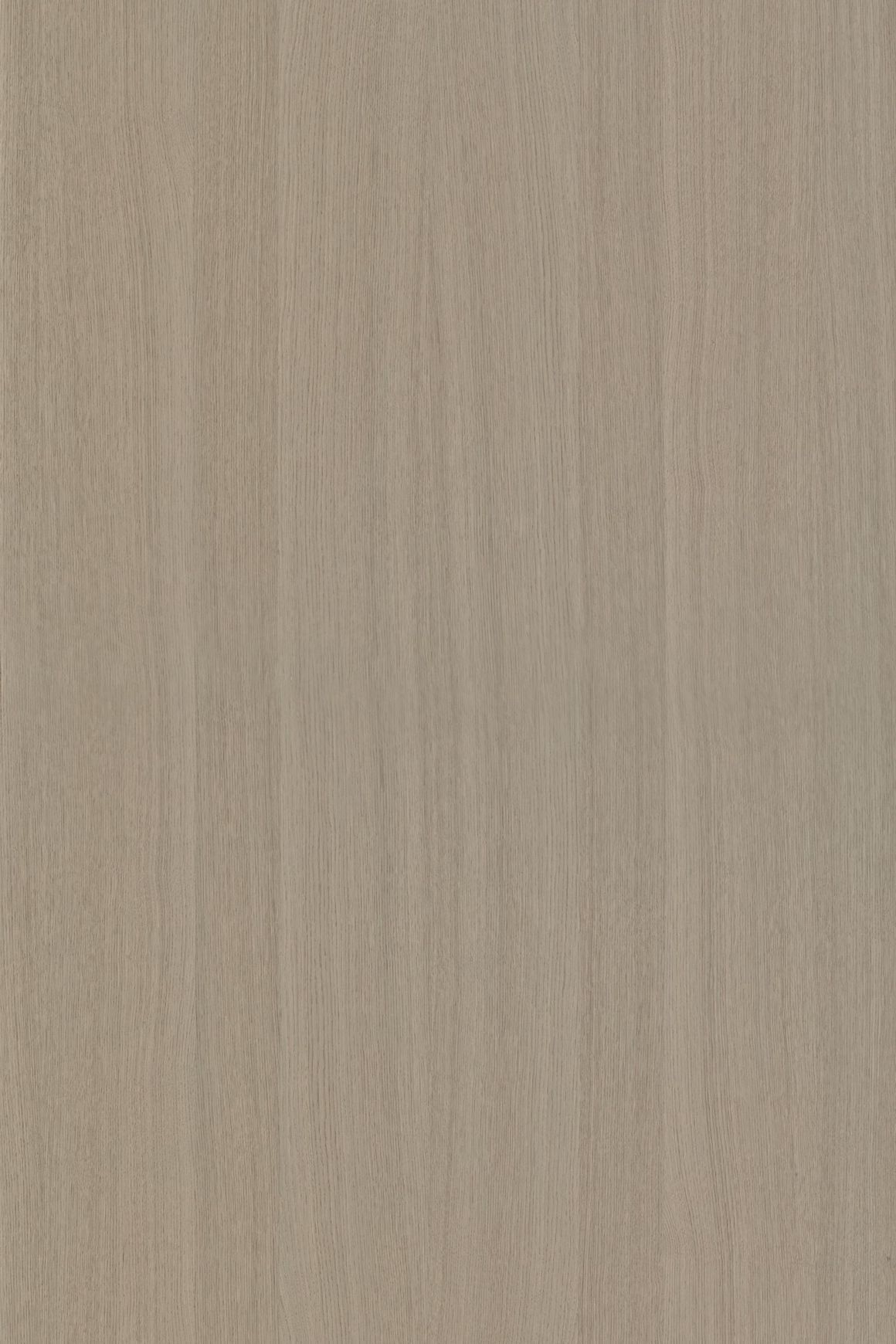 Alor Tusk Oak 1F1B 3050mm Veneer Panel