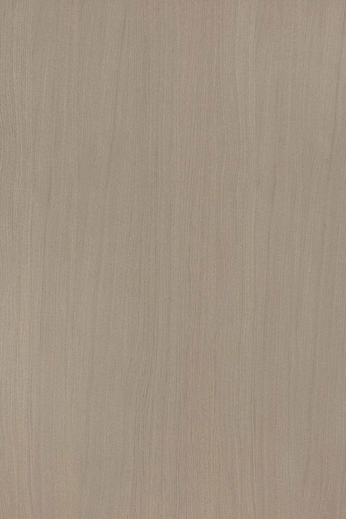 Alor Tusk Oak 1F1B 3050mm Veneer Panel
