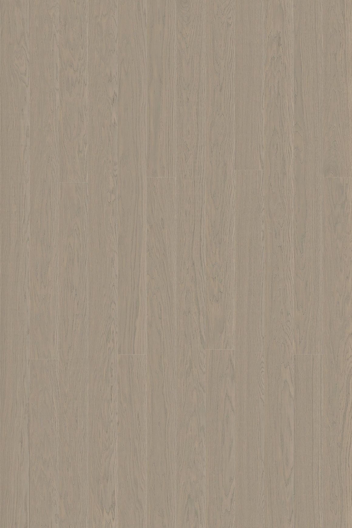 Alor Tusk Oak Walls & Ceiling Panelling