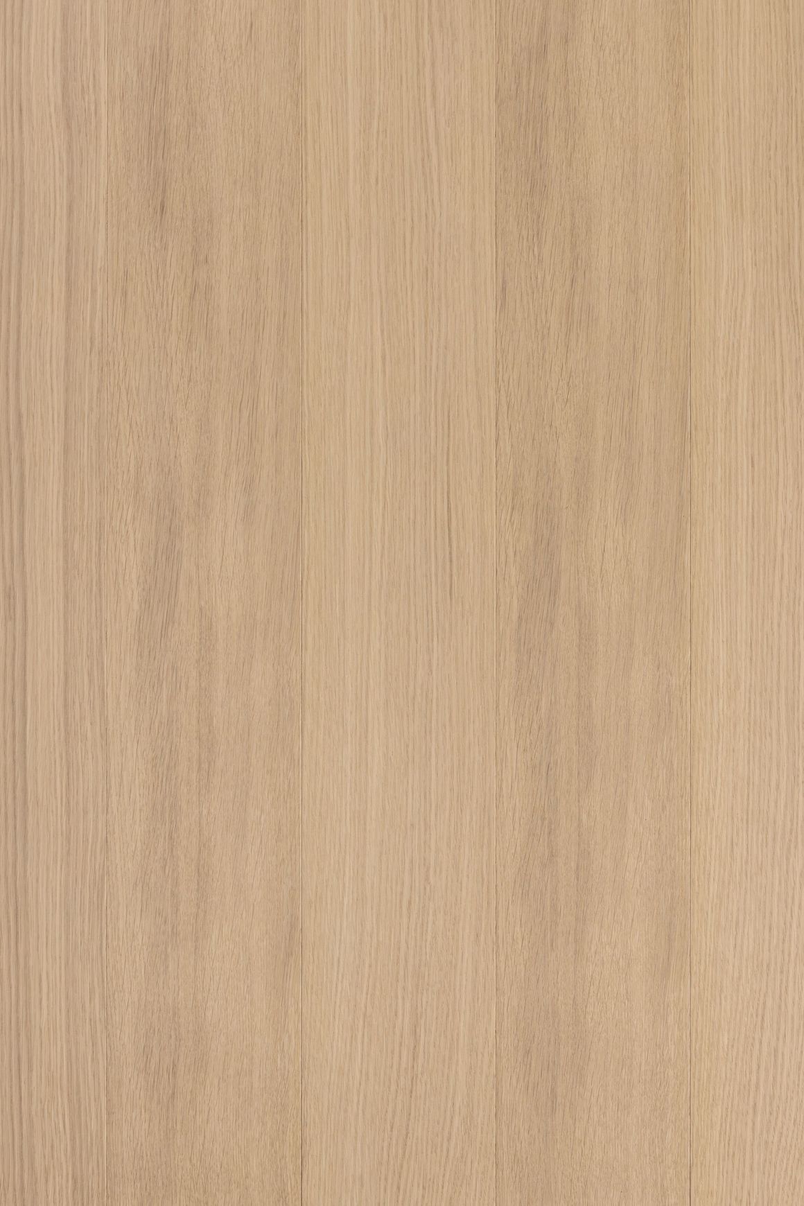 Alor Fawn Oak 1F1B 3050mm Veneer Panel