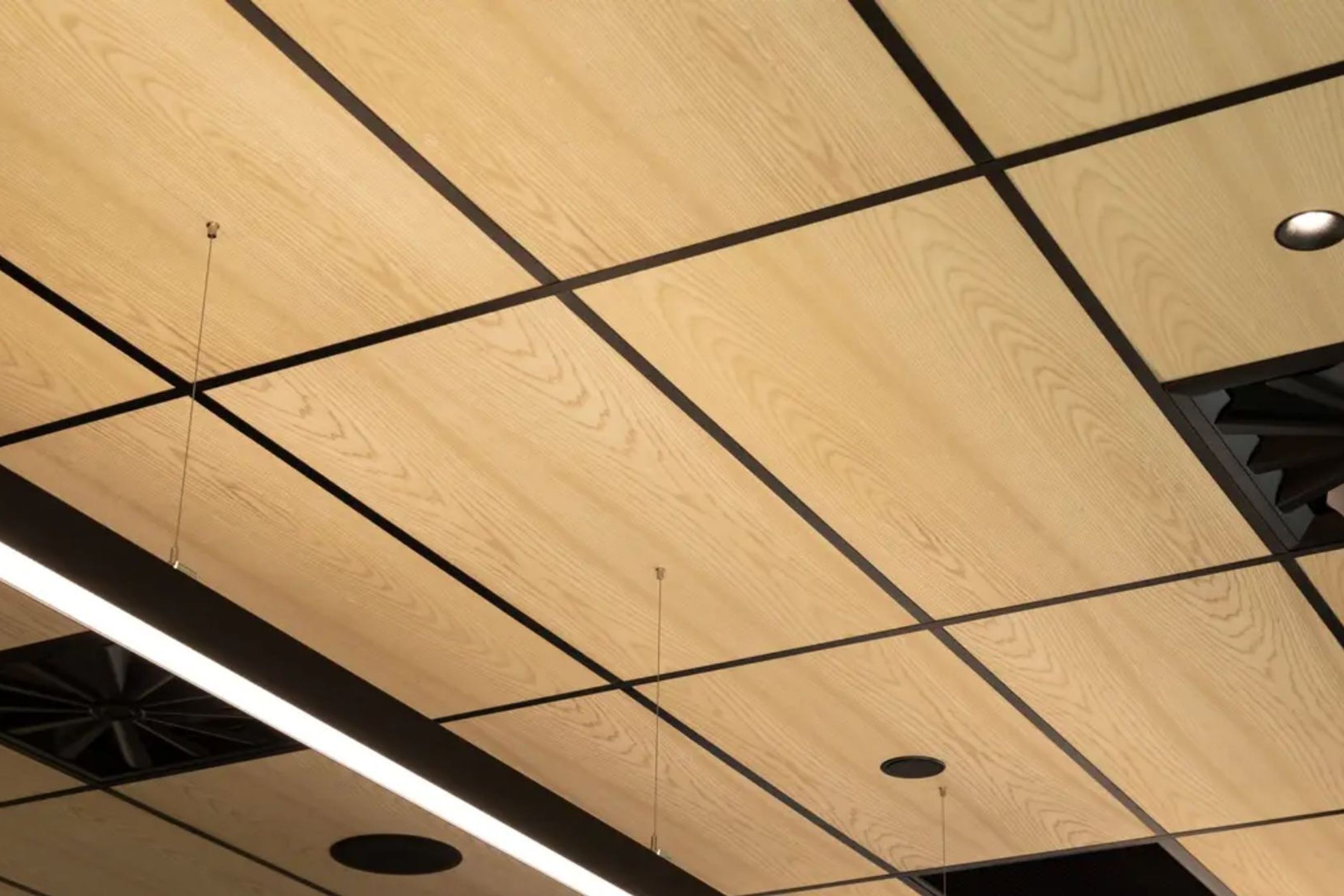 Acoustic Timber
