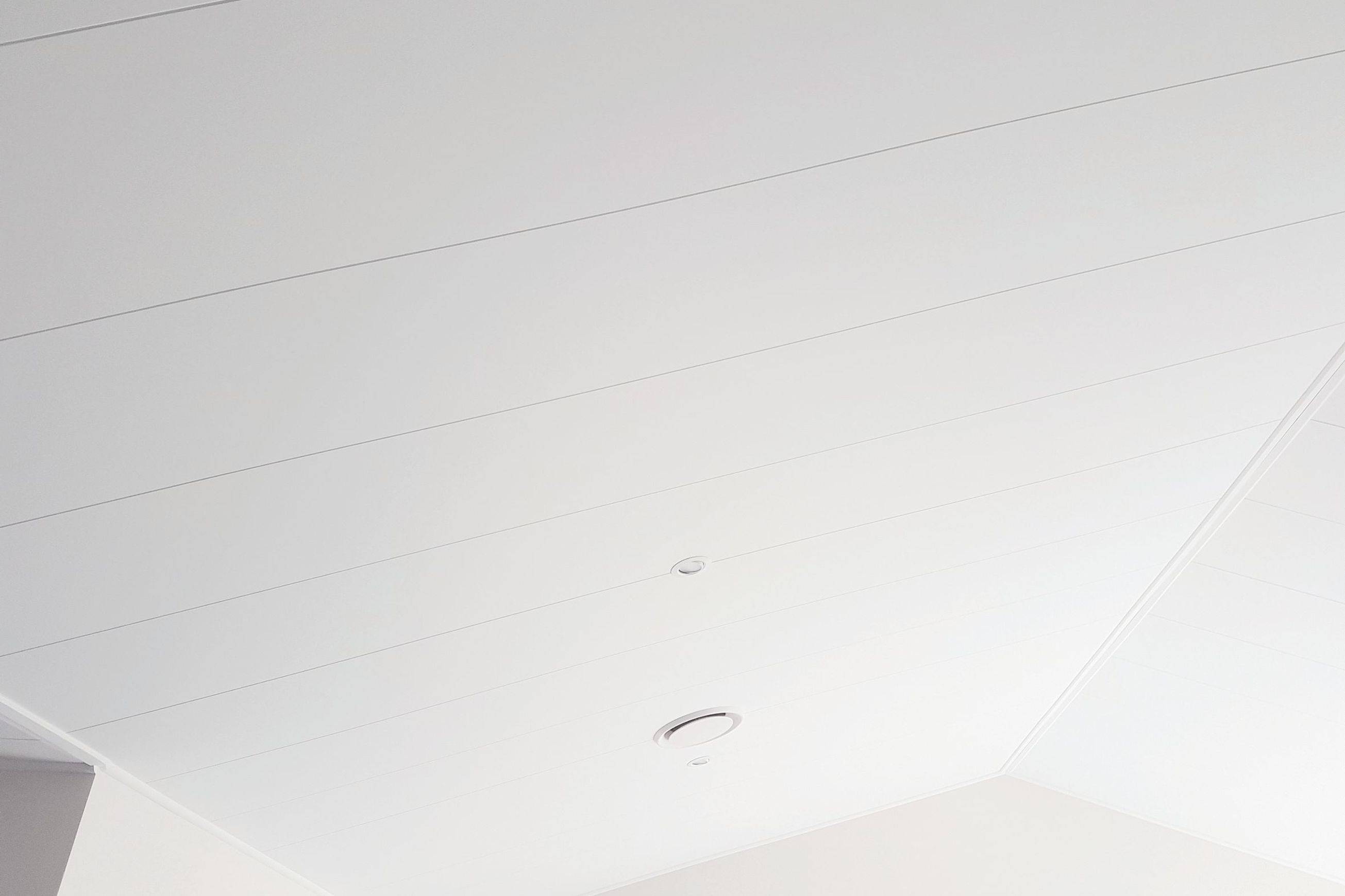 Triboard TGV | Wall & Ceiling Lining