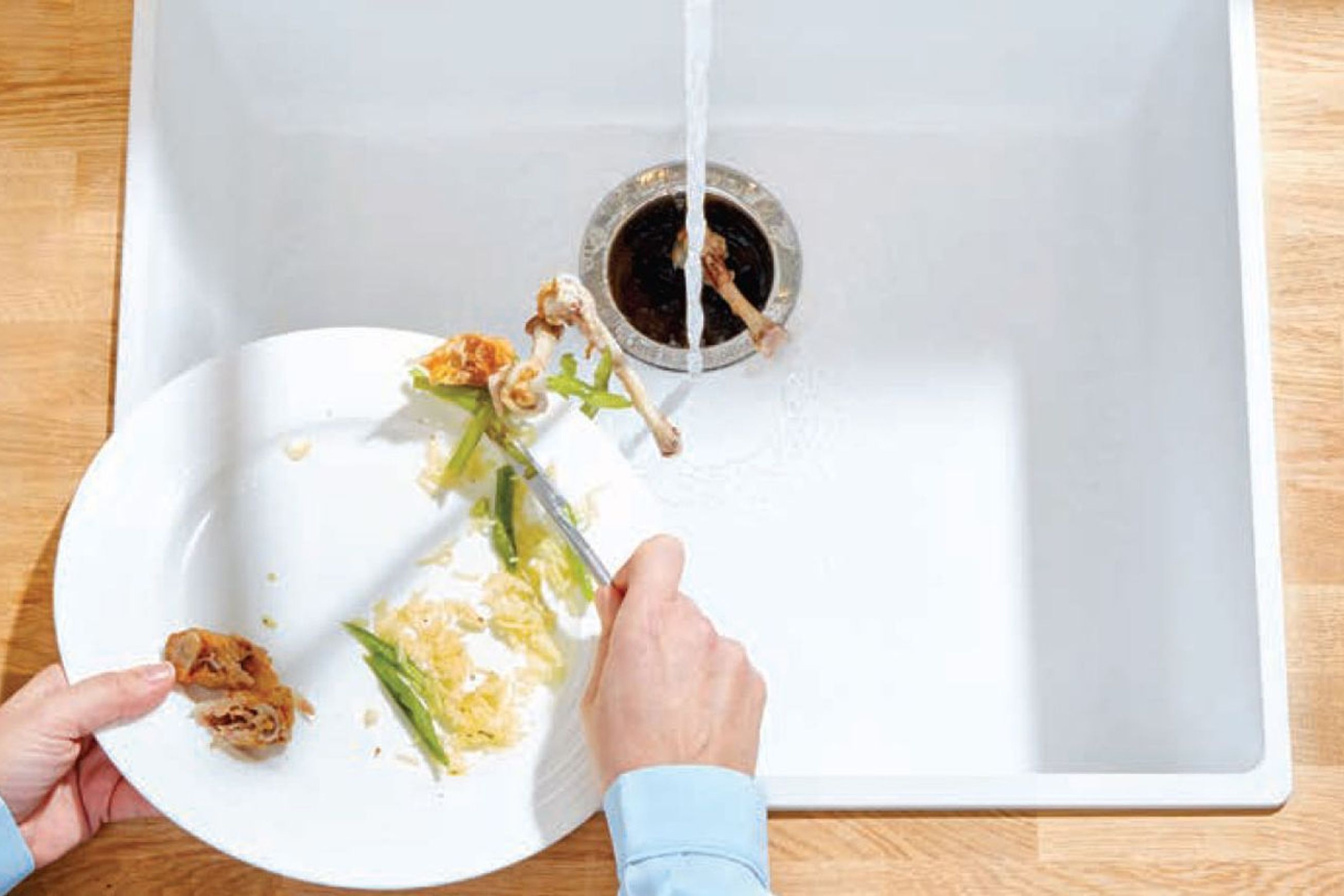Evolution 100 | Food Waste Disposer