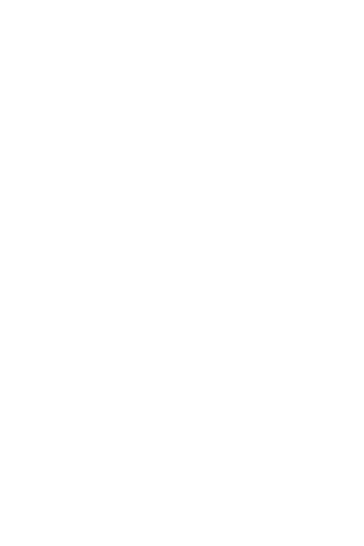 The Seguin Aurore Free-standing Wood Heater dimensions