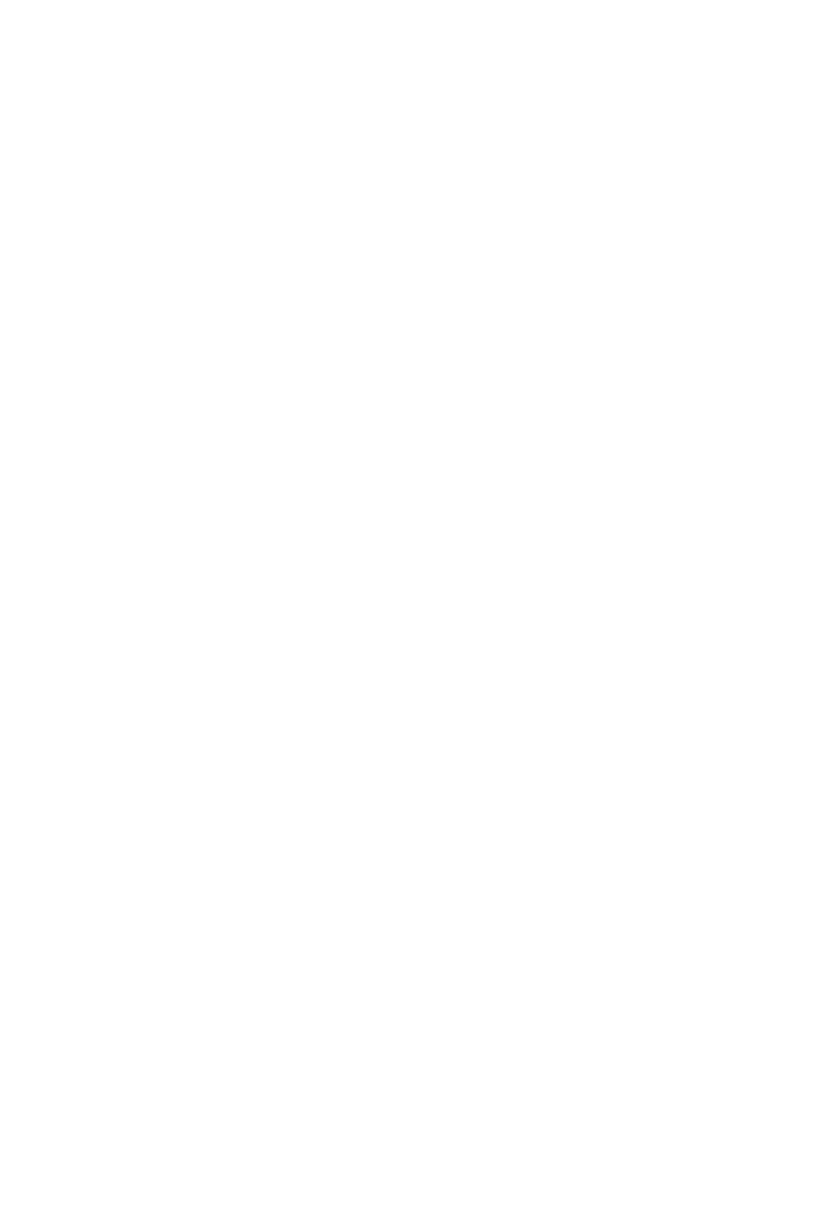 Seguin Jade Cheminee Stove - Freestanding dimensions