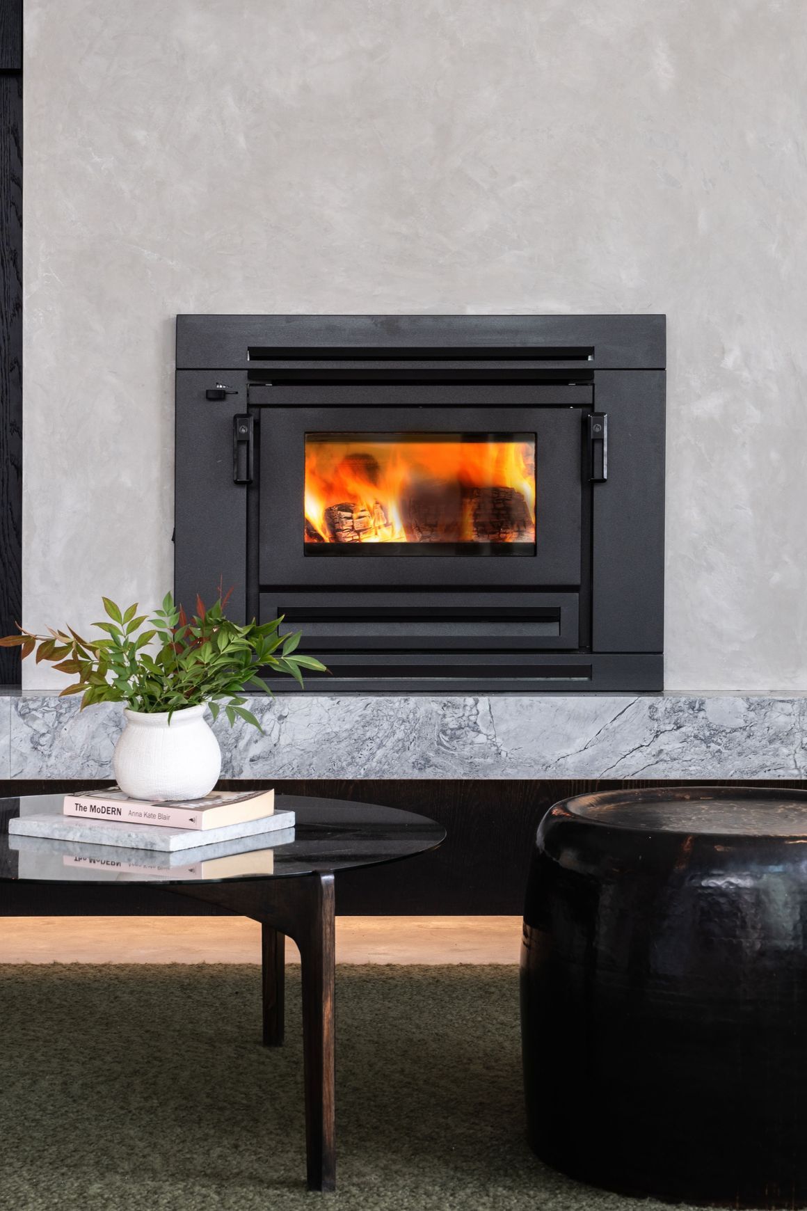 Xander Insert Wood Burner Fireplace