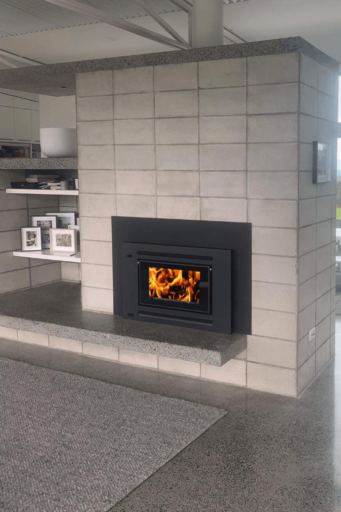 Xander Allure Insert Fireplace