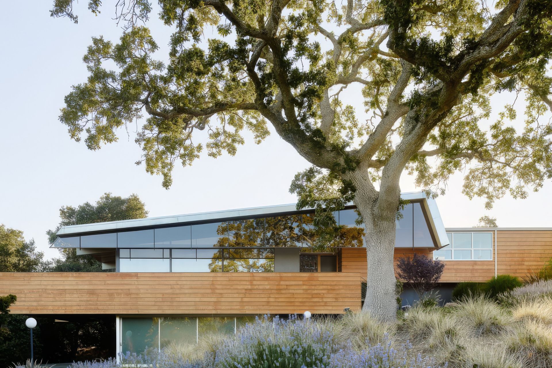 Hero Banner for Mark English Architects