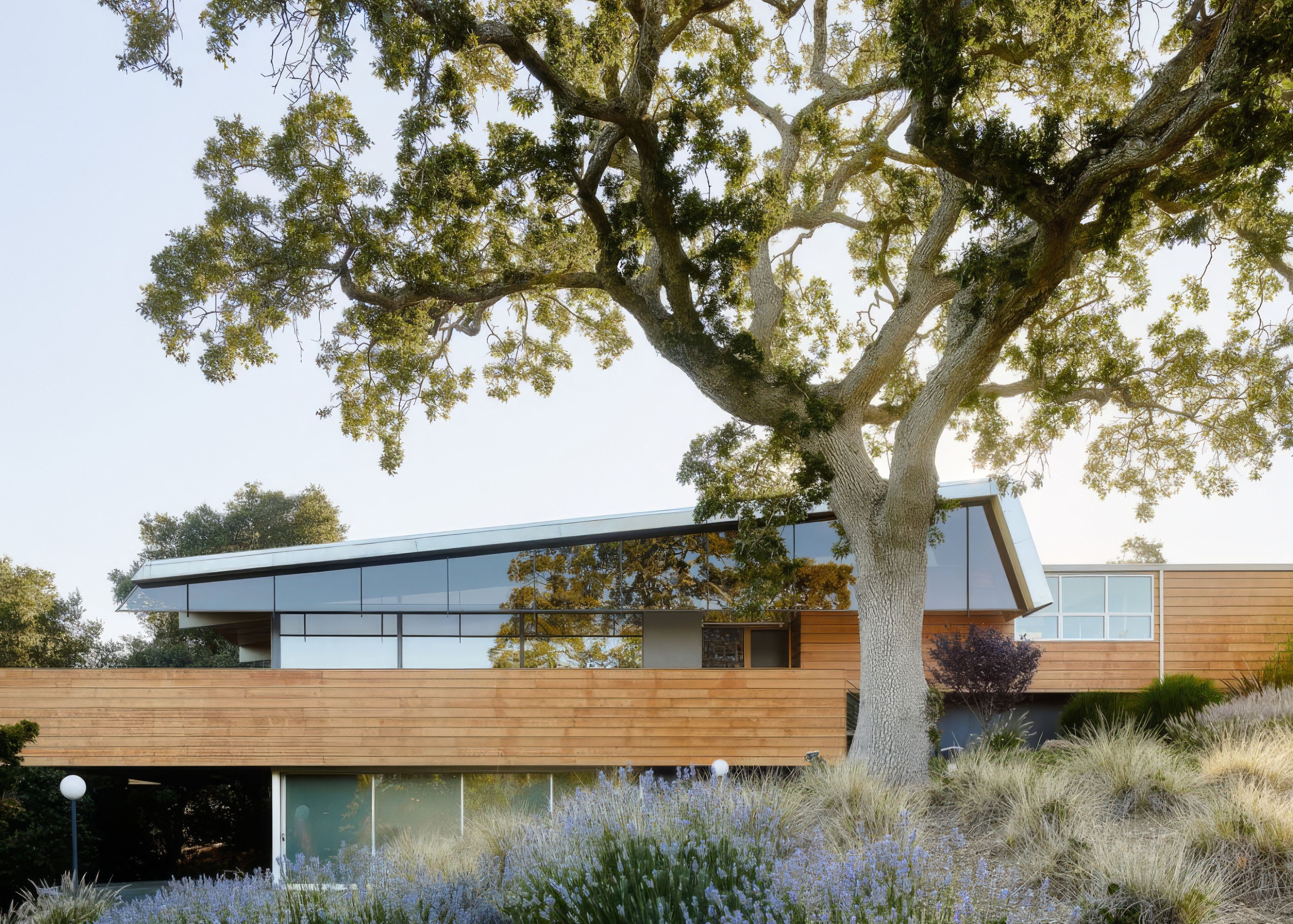 Mark English Architects