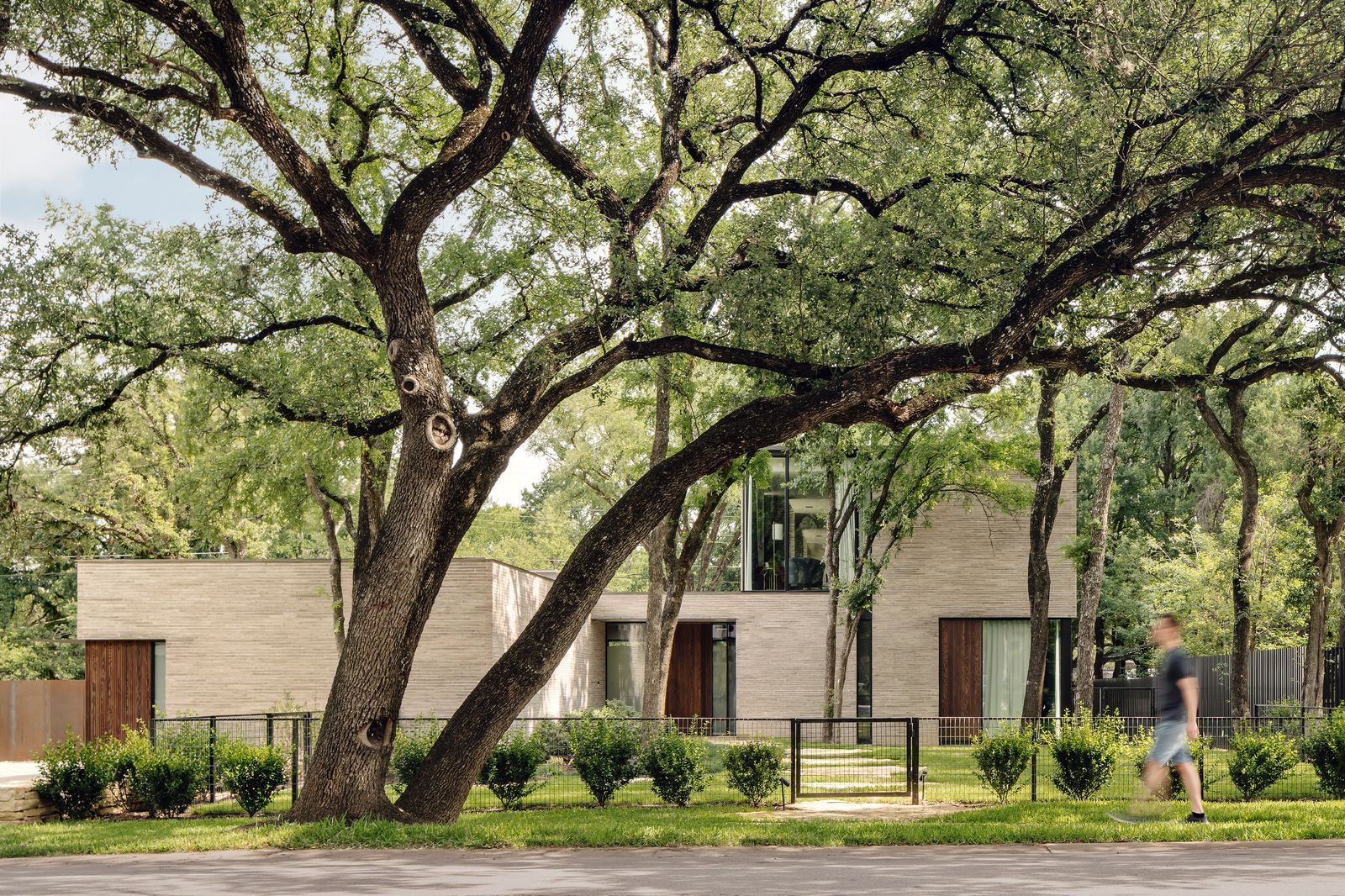 Rollingwood Residence AIA Austin - Merit Award