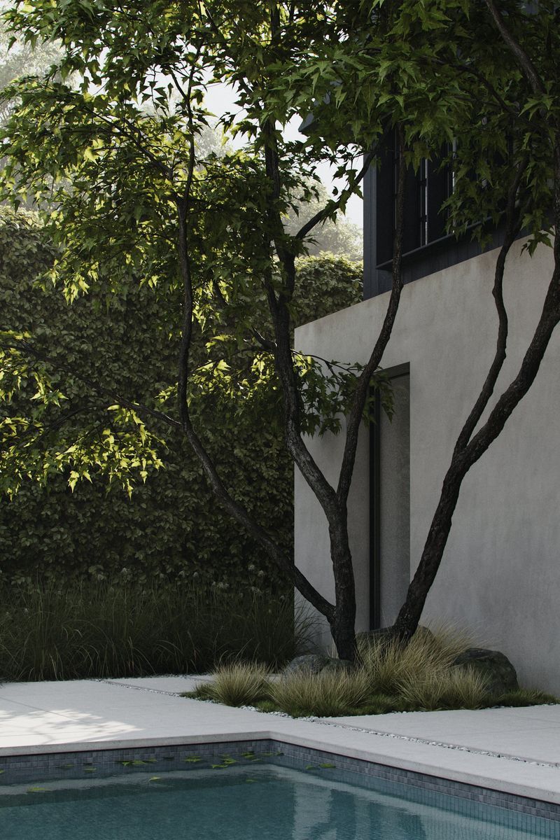 Studio Collin Cobia