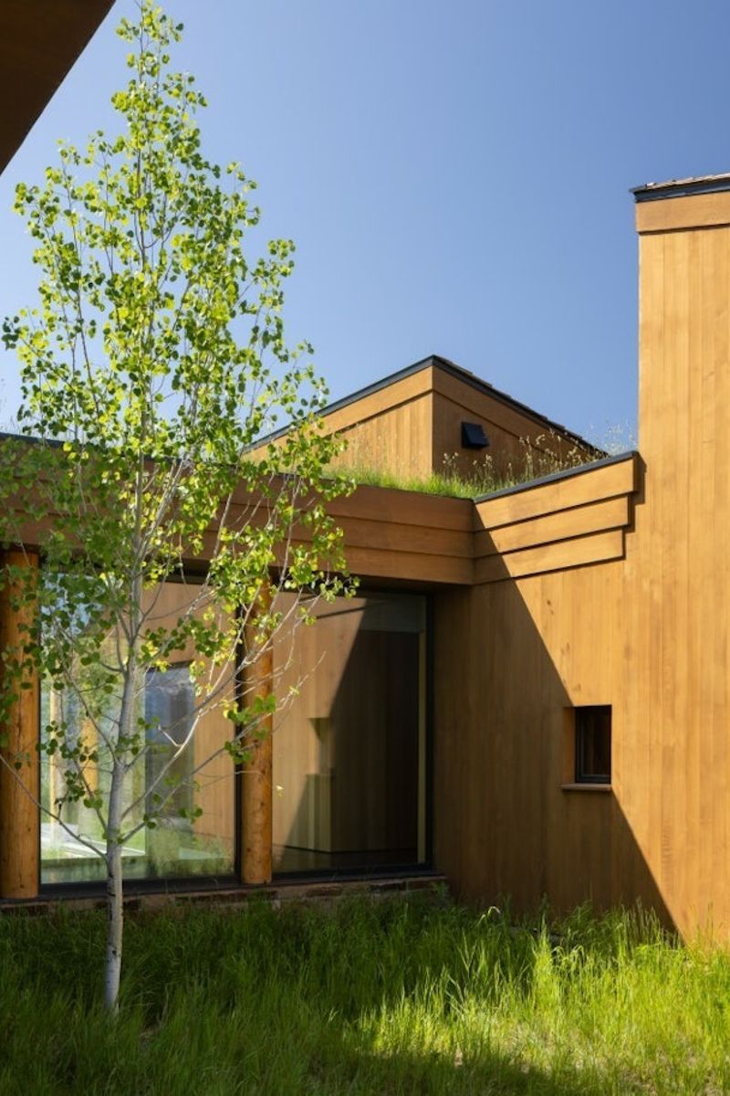 Dynia Architects