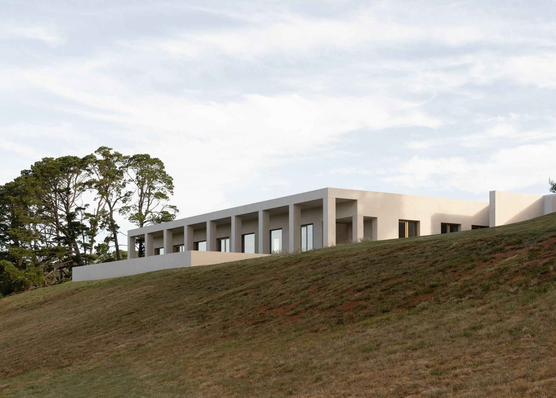 Davidov Architects
