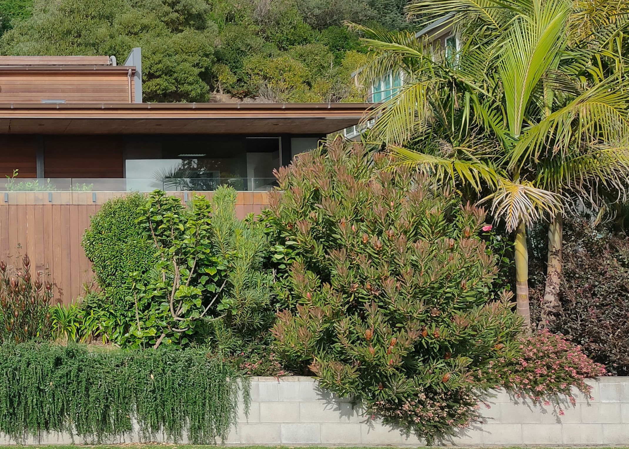Notch Architecture Ltd.