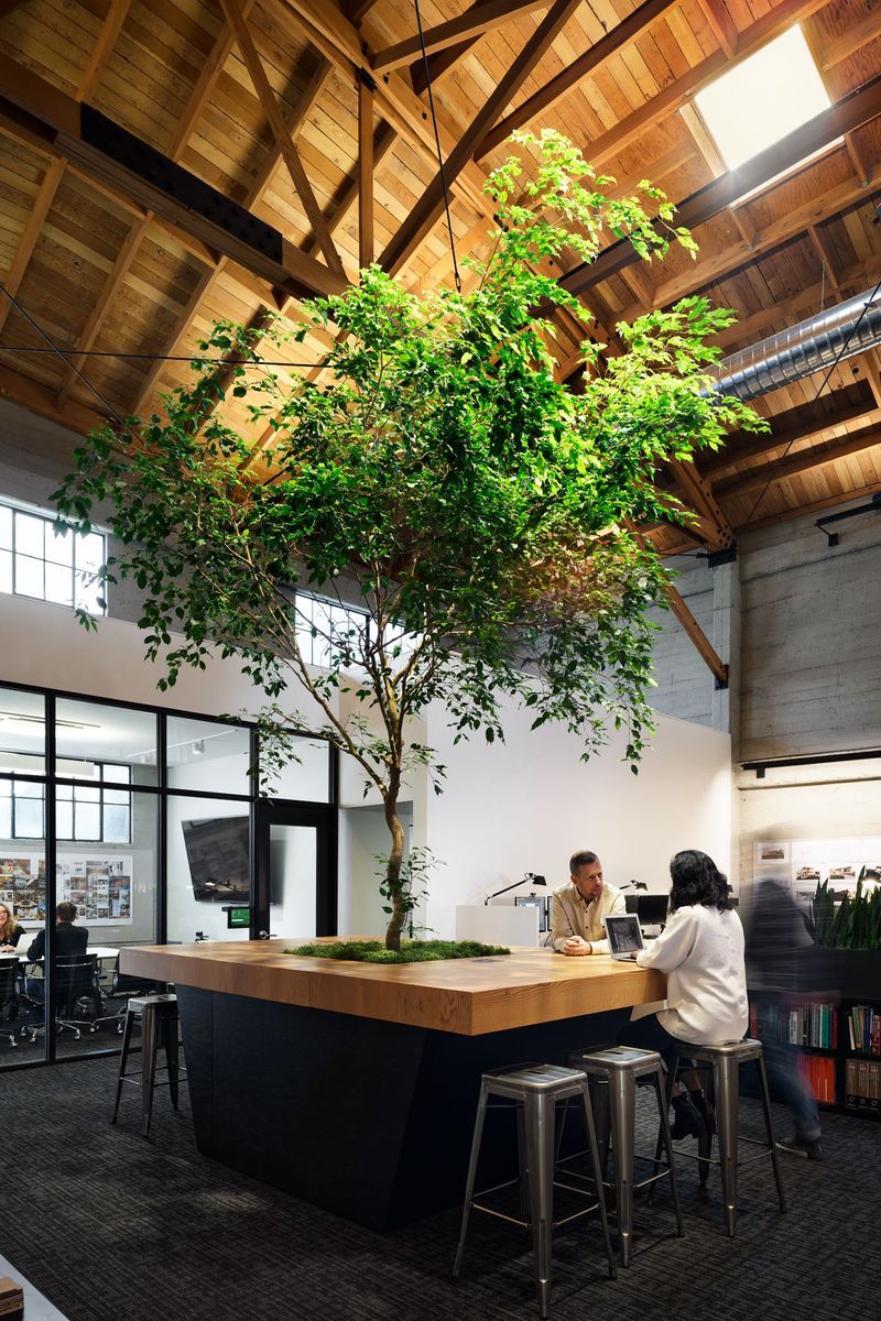 William Duff Architects