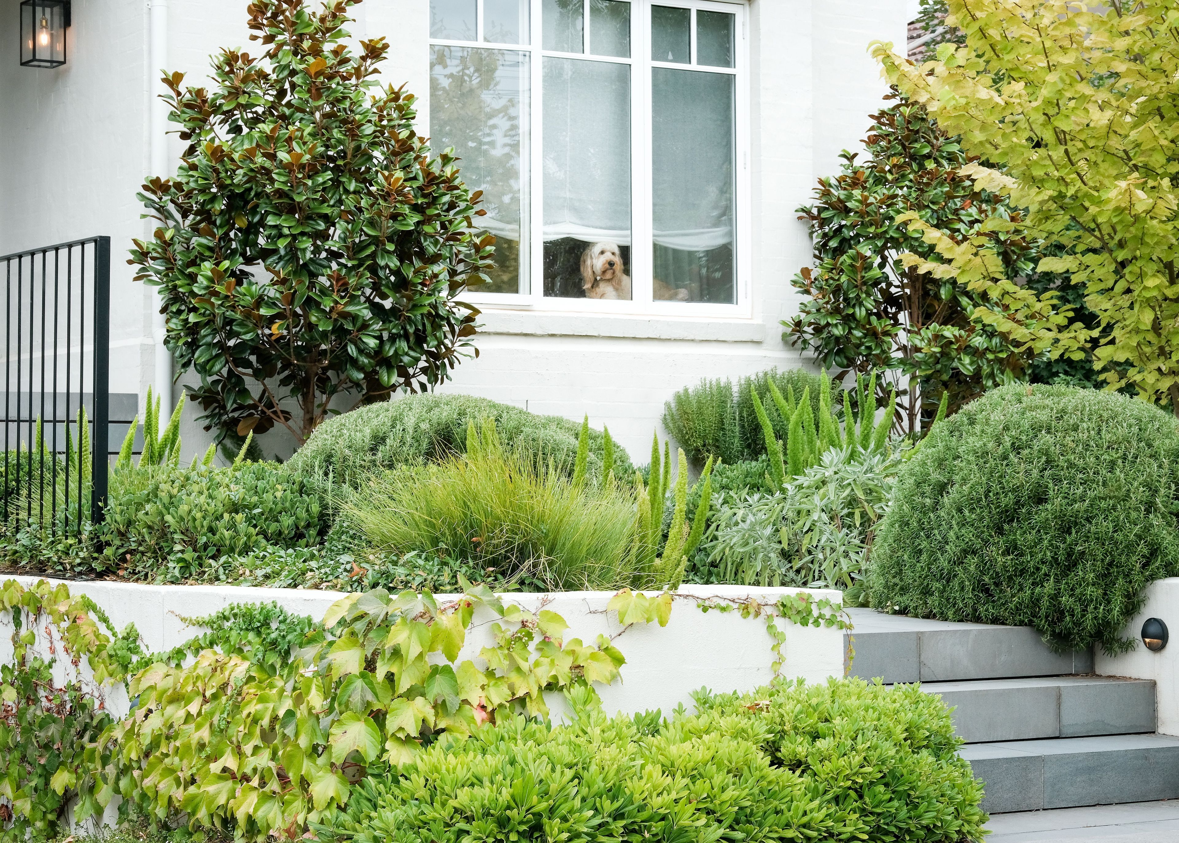 Andrew Plant Landscapes