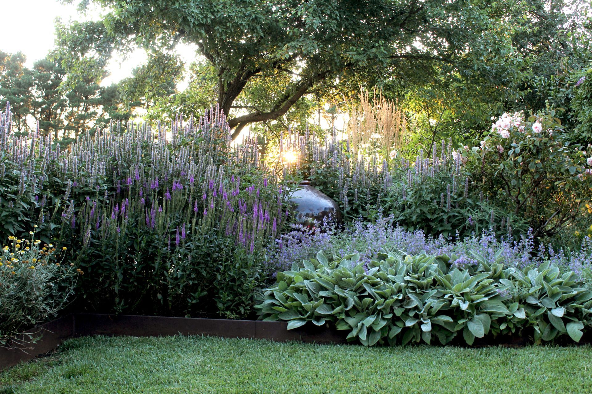 Hero Banner for Bethany Williamson Landscape Architecture
