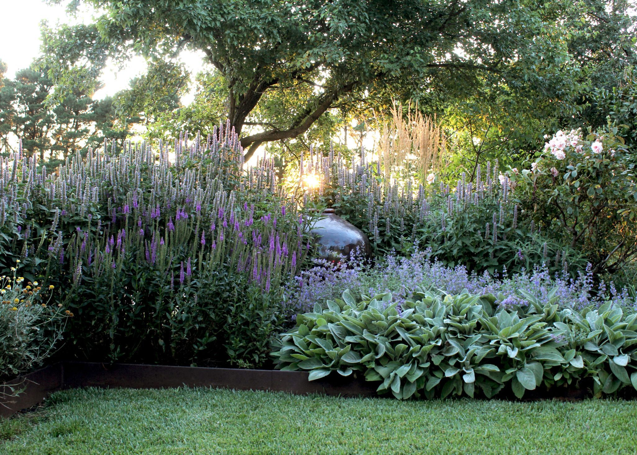 Bethany Williamson Landscape Architecture