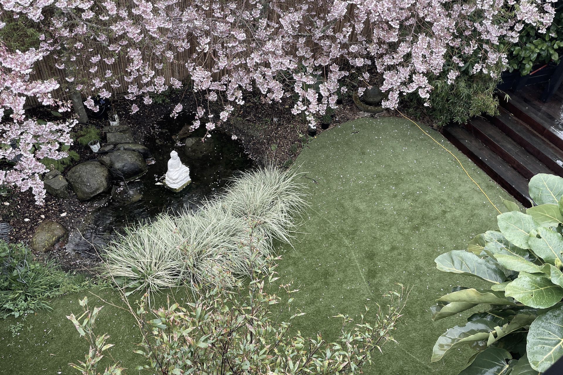 Supporting Image 1 for Lexus Landscaping