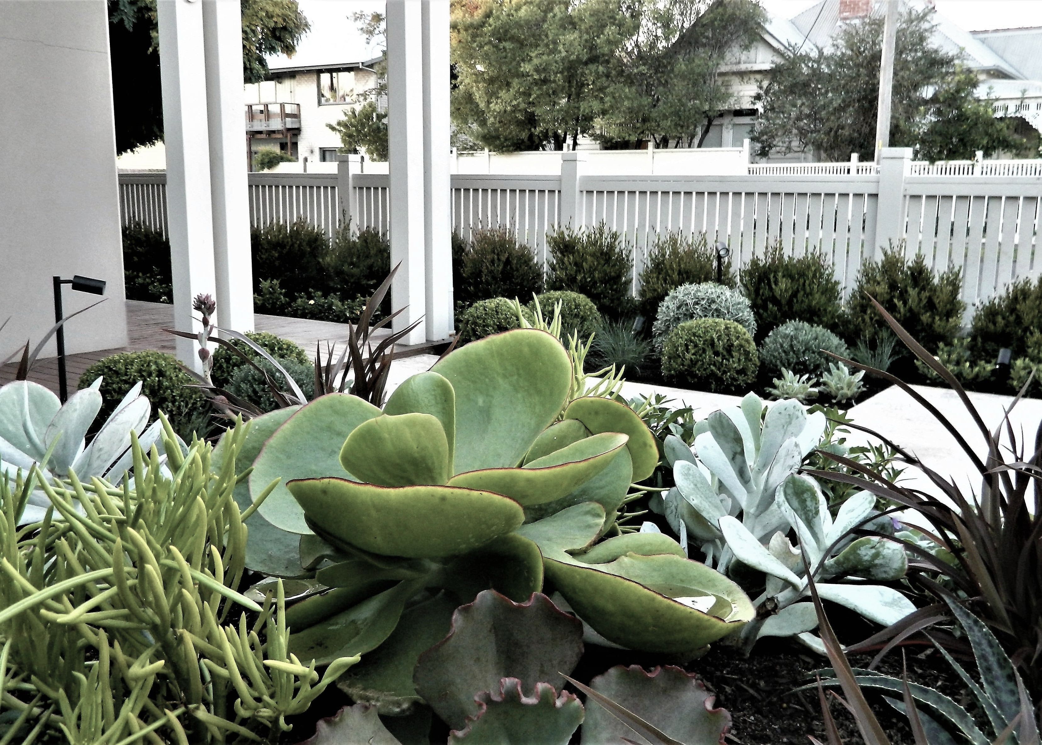 Anthony Scott Landscape Design