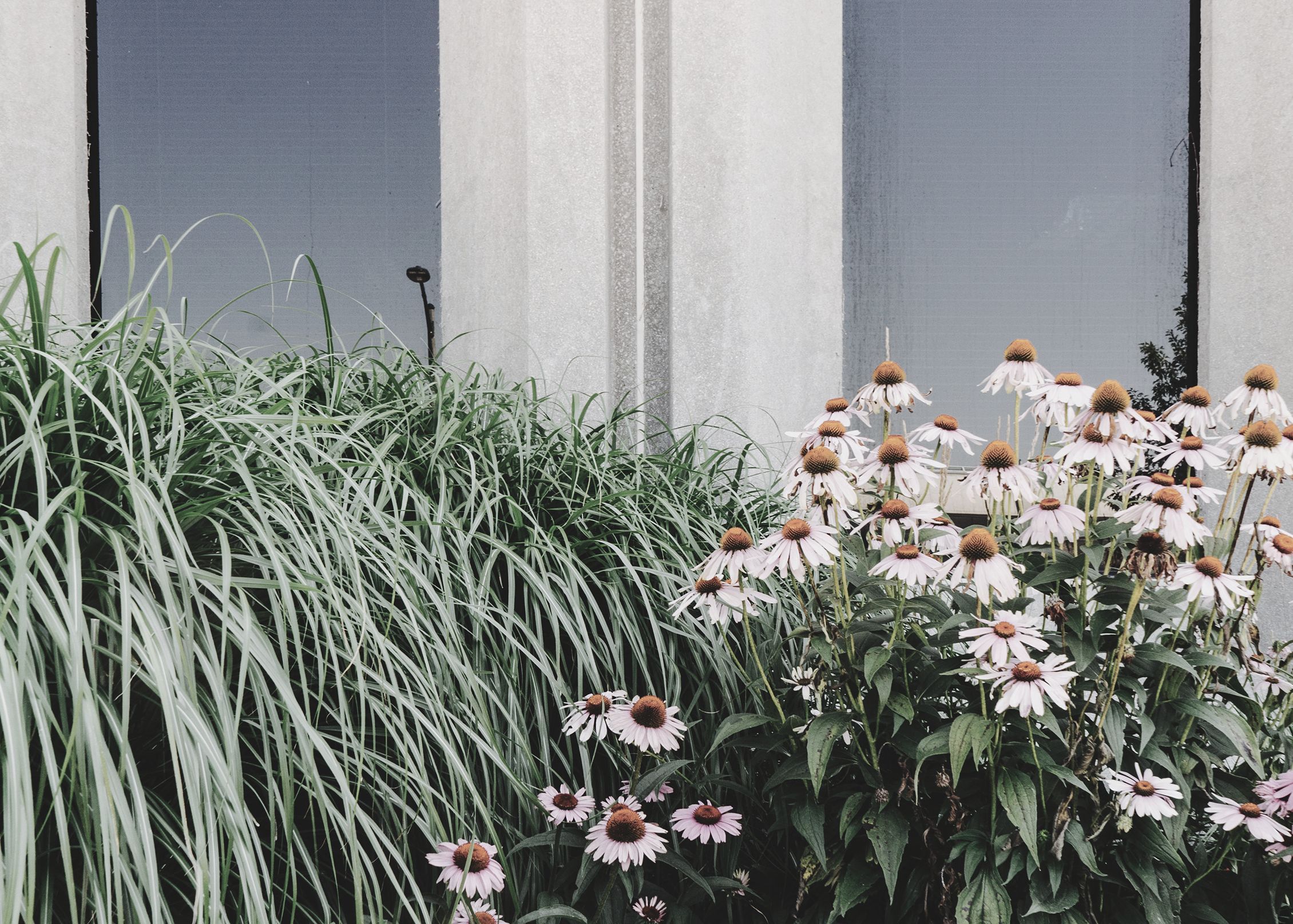 URBIS Landscapes