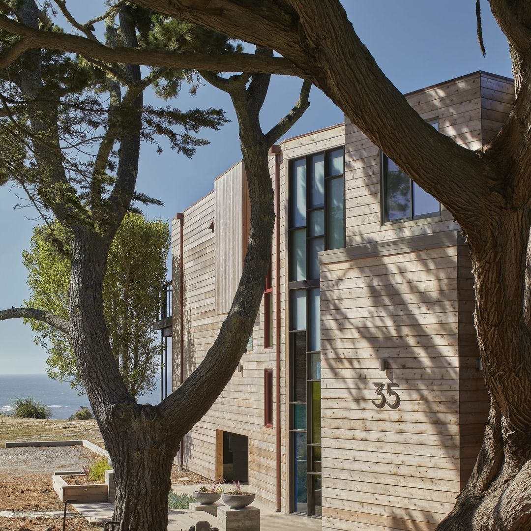 Levy Art + Architecture