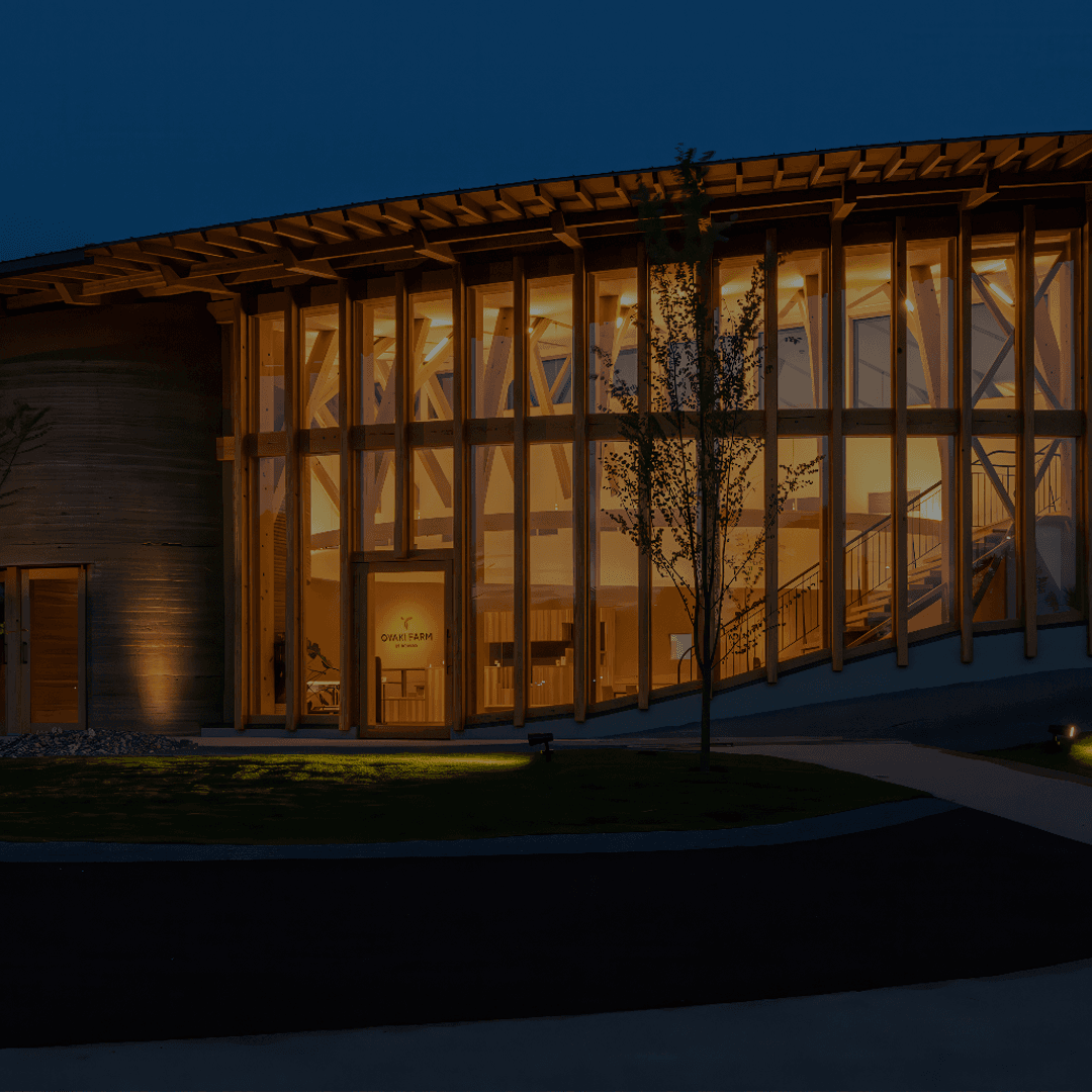Vectorworks