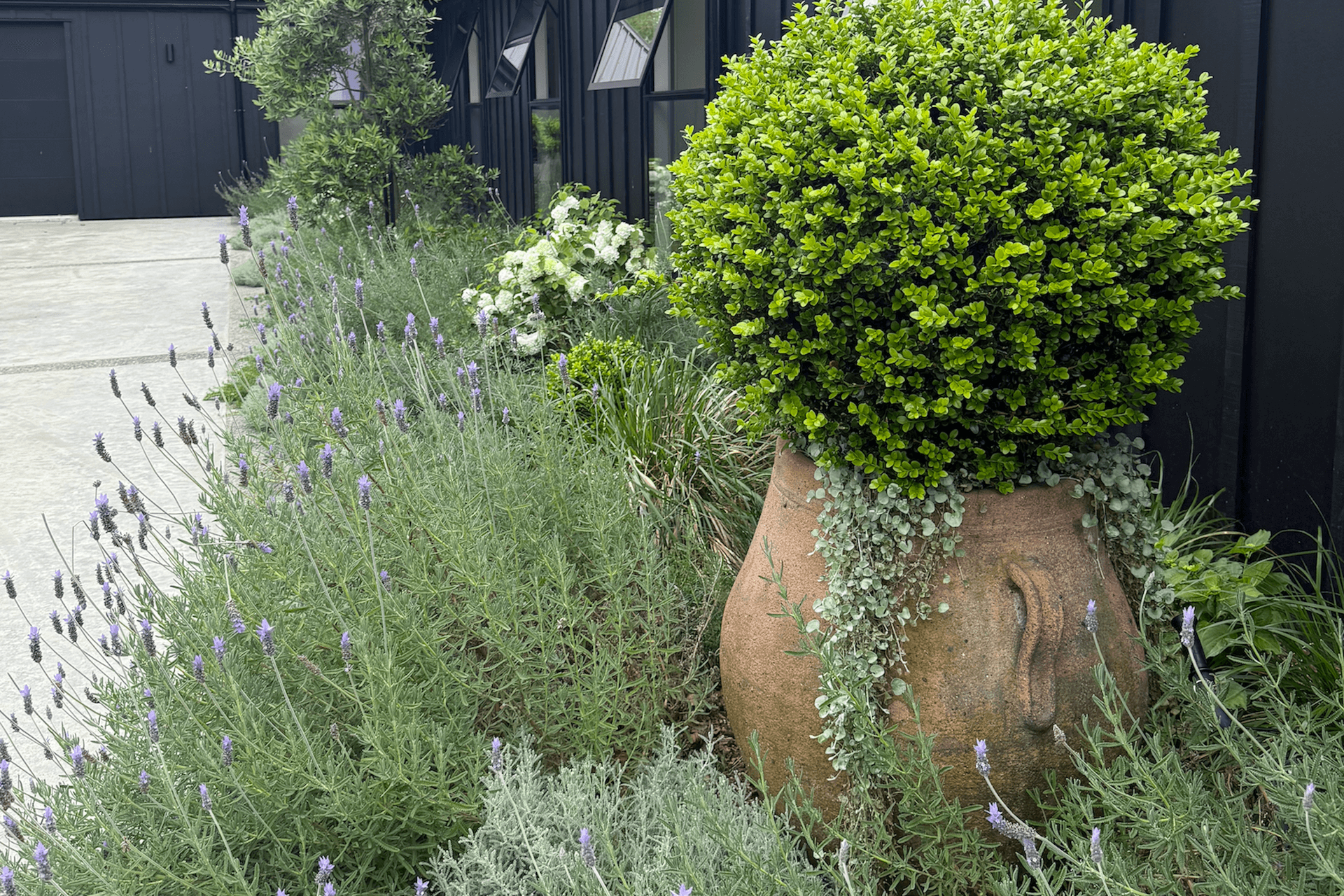Supporting Image 2 for Gardeners Emporium