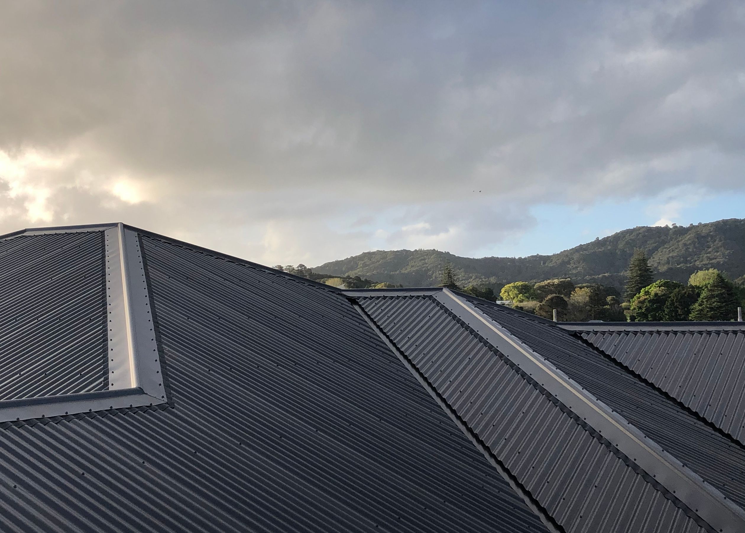 Taylor Roofs