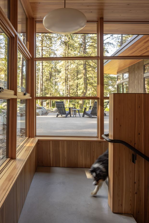A warm, wood-lined entry stairway or landing with extensive timber-framed glazing overlooking a forested outdoor terrace. The space features a smooth concrete floor, built-in timber window seating/sill, a timber door and balustrade, and a large rounded ceiling pendant. Natural daylight and surrounding trees create a strong connection to the outdoors.