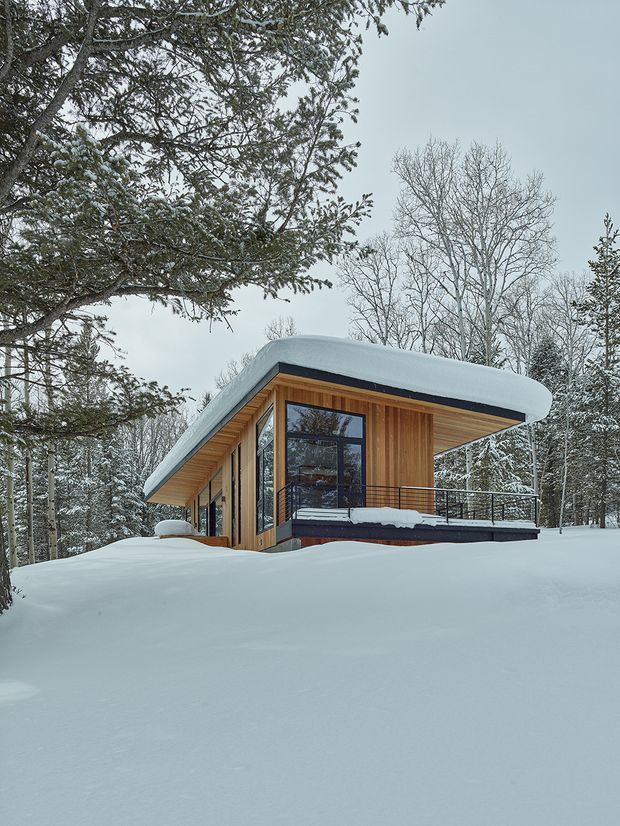 A compact modern cabin set in a snowy forest. The building has a strongly rounded, snow-covered roof edge, warm vertical timber cladding and soffits, extensive dark-framed glazing, and a small elevated terrace with black metal balustrades. The surrounding landscape is heavily blanketed in snow and mature trees, creating a secluded alpine setting.