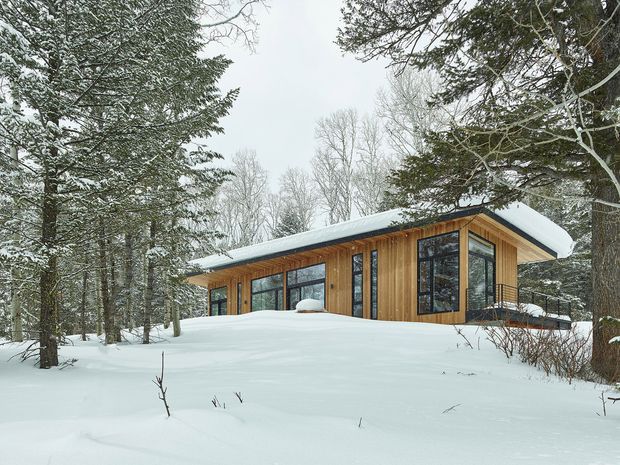 A contemporary single-storey timber-clad house set among dense snow-covered woodland. The building has a low-pitched roof with deep overhangs, extensive dark-framed glazing, and a projecting corner window overlooking the snowy landscape. The scene conveys a secluded alpine or forest setting and strong integration with the surrounding trees.