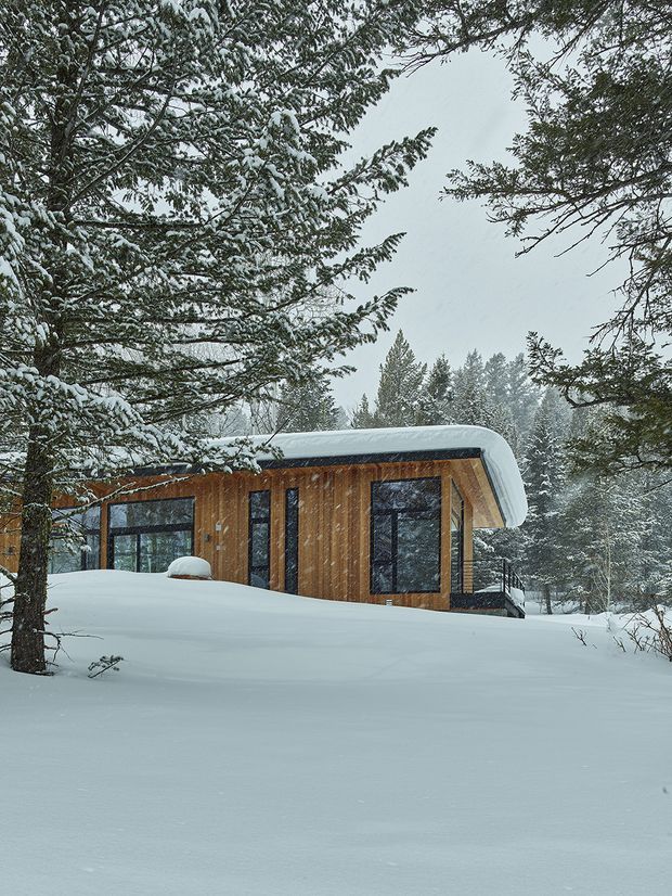 A compact modern cabin nestled in a snowy coniferous forest. The building has warm vertical timber cladding, large dark-framed windows, and a low, gently curved roof heavily covered in snow. Deep snowdrifts surround the structure, with dense evergreen trees framing the scene.
