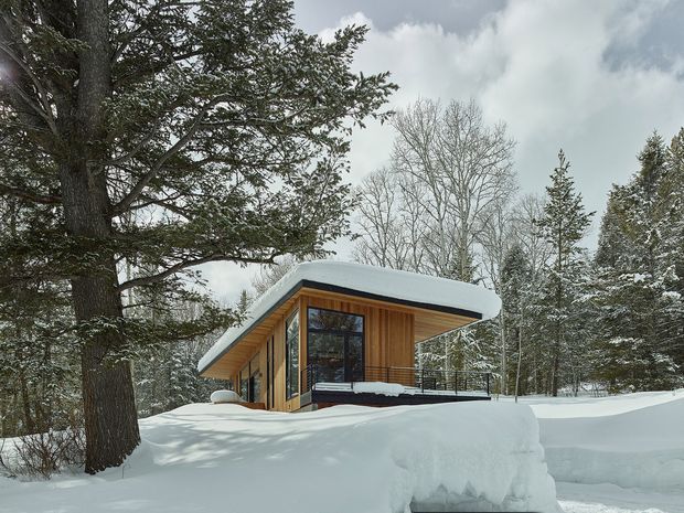 A compact modern cabin nestled in a snowy forest. The building has a low, dramatically overhanging curved roof, warm timber-clad walls, extensive dark-framed glazing, and a small elevated deck or terrace. Deep snow blankets the surrounding landscape and roof, with mature deciduous and evergreen trees framing the structure under an overcast sky.
