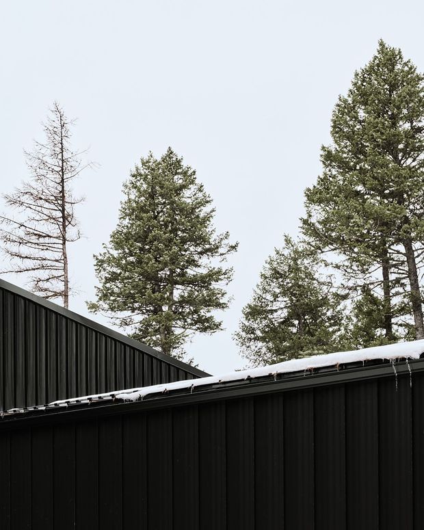 Exterior architectural detail of a dark, vertically ribbed metal-clad building with overlapping low-pitched roof forms. Snow rests along the roof edge, with tall coniferous trees visible behind the structure under an overcast sky. The image focuses on the building envelope and roofline rather than an interior space.