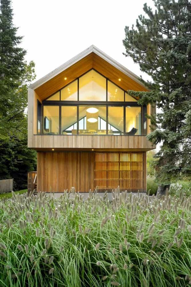 Front exterior view of a compact contemporary timber-clad house set within dense ornamental grasses and mature trees. The building has a strong symmetrical gabled form, a warm timber-lined vaulted upper level with extensive black-framed glazing, and a lower level featuring vertical timber cladding and a screened outdoor area.