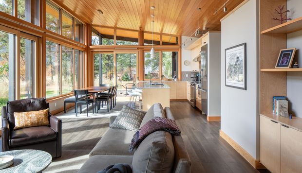 A bright open-plan living, dining and kitchen interior with extensive timber-framed glazing overlooking trees. The room features a warm timber-lined sloping ceiling, dark timber flooring, a neutral sectional sofa and leather armchair, a dining table, and a light kitchen island with pendant lighting. Built-in timber shelving and cabinetry line the right wall, creating a warm contemporary retreat-like atmosphere.
