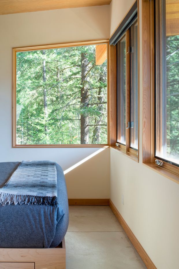 A bright, compact bedroom corner with extensive timber-framed windows overlooking dense forest. The room has pale walls, a warm timber ceiling and skirting, a simple bed with a blue throw, and a smooth light concrete or cement-like floor. Natural light fills the space, emphasizing the connection to the wooded landscape.