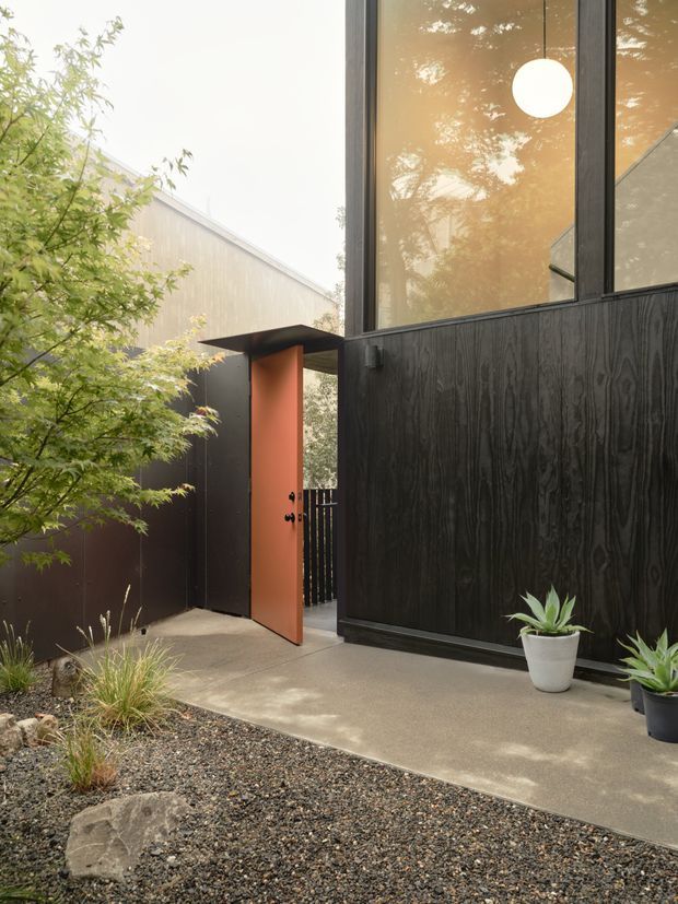 A minimalist modern residential entry courtyard viewed from outside. A tall blackened timber-clad facade with large dark-framed glazing dominates the right side, while a rust-orange pivot entry door sits beneath a slim projecting canopy. Concrete paving leads through a gravel and drought-tolerant planted landscape, with potted succulents and a leafy tree softening the architectural composition.