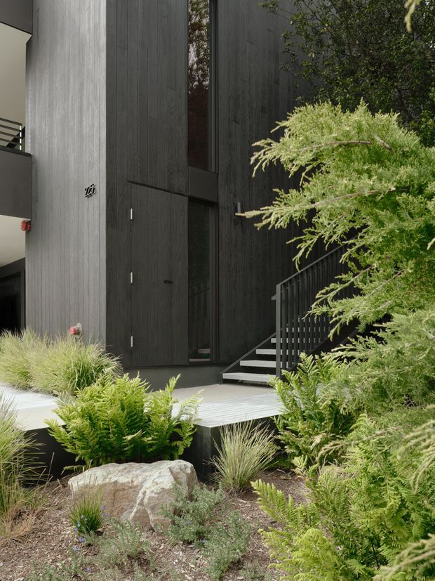 Contemporary residential entrance viewed from a landscaped garden. The facade combines dark vertically textured cladding with a lighter grey wall, a tall narrow glazed opening, and a large dark entry door. A short flight of steps with black metal railings leads to a pale deck or landing, surrounded by layered grasses, ferns, shrubs, and a large natural boulder.