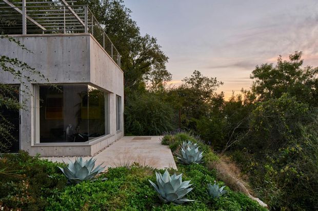A compact modern concrete building set into dense natural landscaping, viewed from an exterior terrace or path. The structure has smooth pale concrete walls, large dark-framed glazing, and a rooftop terrace enclosed by a simple metal railing and pergola-like structure. Succulents and native-looking vegetation surround the paved outdoor area, with warm evening light in the background.