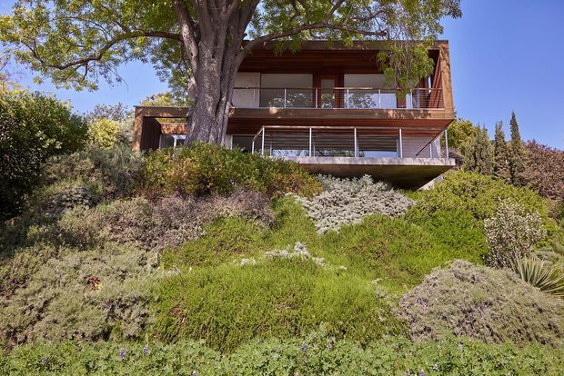 Exterior view of a modern multi-level house set into a landscaped, sloping site. The building features extensive warm timber cladding and soffits, broad balconies with slender metal or glass railings, large glazed openings, and a projecting upper volume partially screened by a mature tree. Dense drought-tolerant planting surrounds the structure.